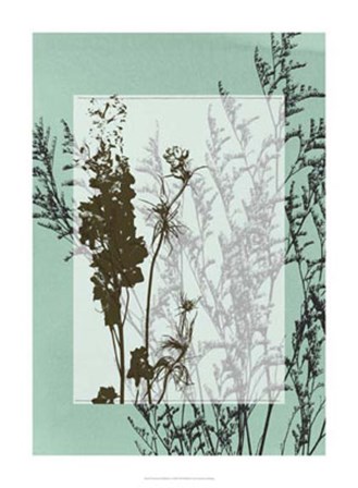Translucent Wildflowers I by Jennifer Goldberger art print
