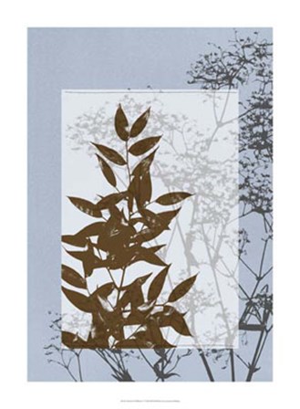 Translucent Wildflowers V by Jennifer Goldberger art print