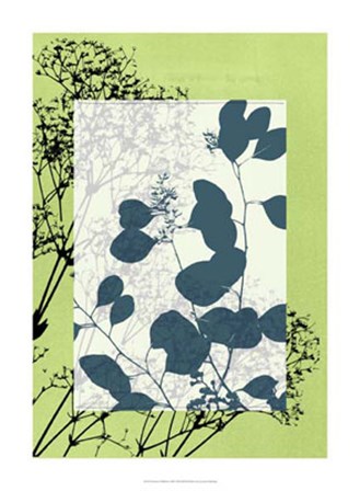 Translucent Wildflowers VIII by Jennifer Goldberger art print