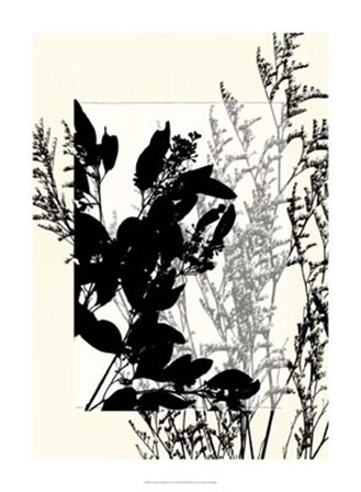 Translucent Wildflowers IX by Jennifer Goldberger art print