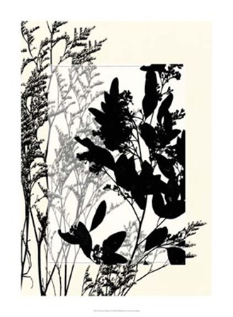 Translucent Wildflowers X by Jennifer Goldberger art print