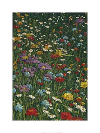 Bright Wildflower Field II by Megan Meagher art print