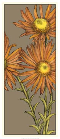 Graphic Flower Panel I by Jennifer Goldberger art print