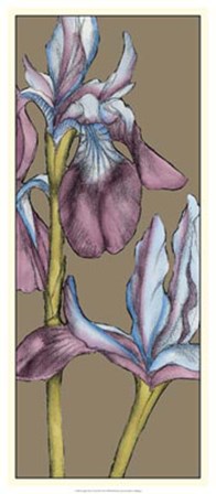 Graphic Flower Panel III by Jennifer Goldberger art print