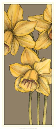 Graphic Flower Panel IV by Jennifer Goldberger art print