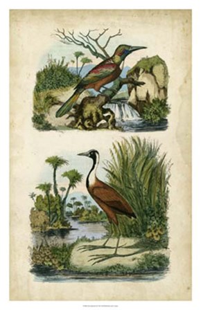 Avian Sanctuary II by Therese Guerin art print