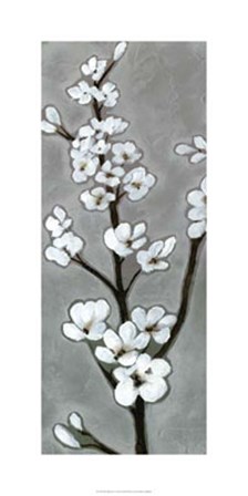 White Blossoms I by Jennifer Goldberger art print