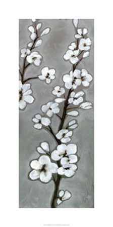 White Blossoms II by Jennifer Goldberger art print