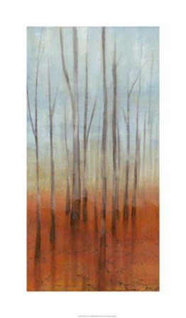 Birch Forest I by Jennifer Goldberger art print