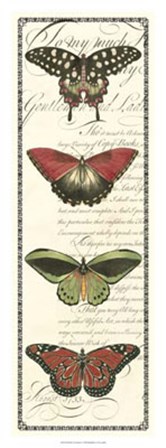 Butterfly Prose Panel I by Vision Studio art print