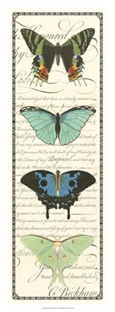 Butterfly Prose Panel II by Vision Studio art print