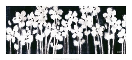 White Flowers on Black II by Norman Wyatt Jr. art print