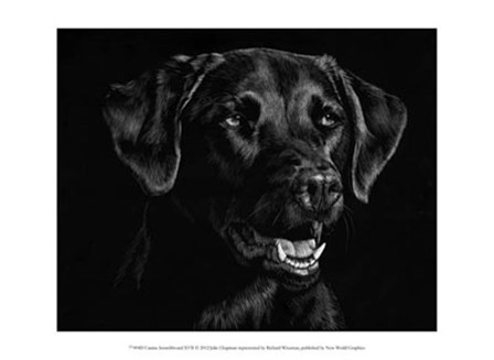Canine Scratchboard XVII by Julie Chapman art print
