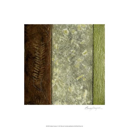 Earthen Textures I by Beverly Crawford art print