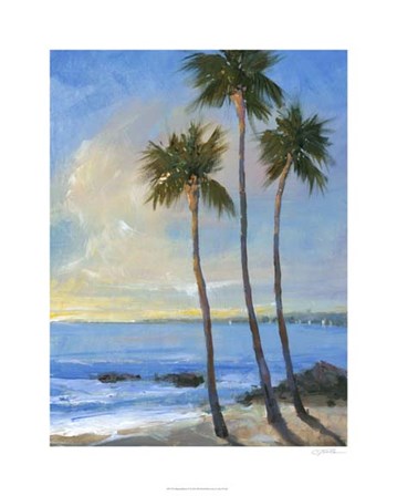Tropical Breeze II by Timothy O&#39;Toole art print