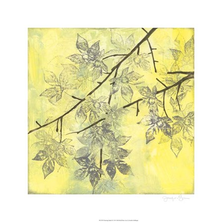 Fluttering Maple II by Jennifer Goldberger art print