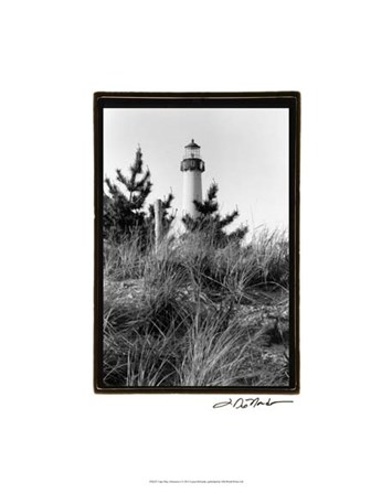 Cape May Afternoon I by Laura Denardo art print