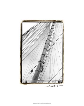 Set Sail VI by Laura Denardo art print