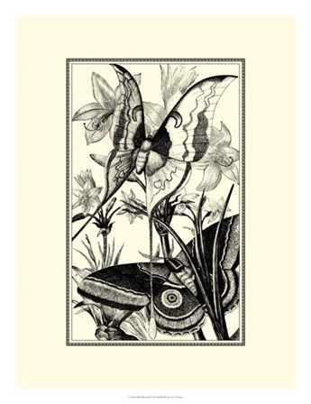B&amp;W Butterfly I by G. Pearson art print