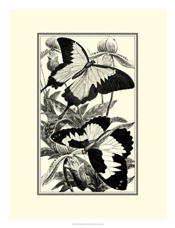 B&amp;W Butterfly III by G. Pearson art print