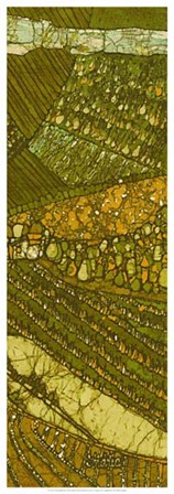 Vineyard Batik II by Andrea Davis art print