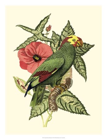 Tropical Birds and Botanicals I by Vision Studio art print