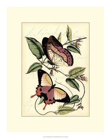 Petite Butterflies I by Vision Studio art print