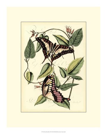Petite Butterflies II by Vision Studio art print