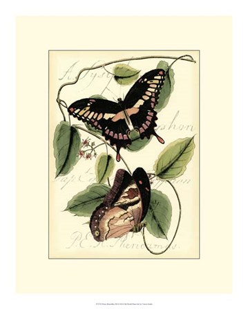 Petite Butterflies III by Vision Studio art print