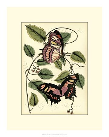 Petite Butterflies IV by Vision Studio art print