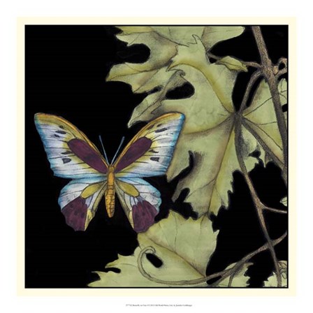 Butterfly on Vine I by Jennifer Goldberger art print