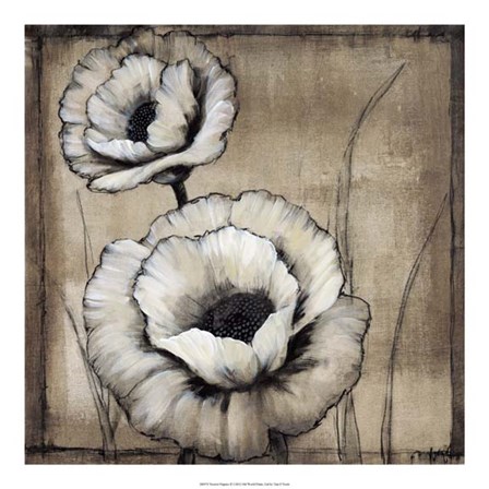 Neutral Poppies II by Timothy O&#39;Toole art print