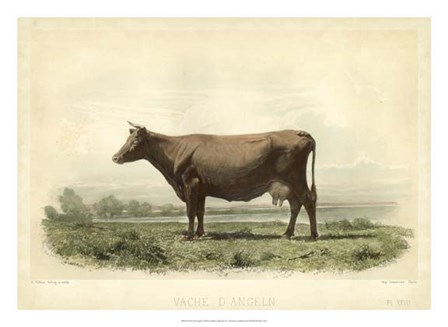Vache D&#39;Angeln by I Bonheur art print