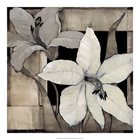 Dramatic Lily Grid II by Timothy O&#39;Toole art print