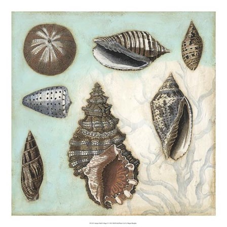 Antique Shell Collage I by Megan Meagher art print