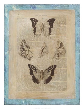 Bookplate Butterflies IV by Vision Studio art print