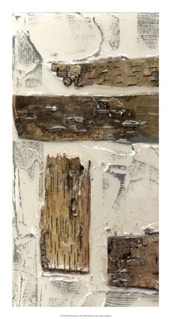 Birch Bark Abstract I by Jennifer Goldberger art print