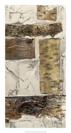 Birch Bark Abstract II by Jennifer Goldberger art print