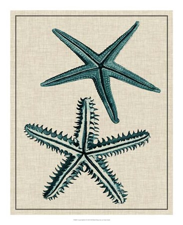 Coastal Starfish I by Vision Studio art print