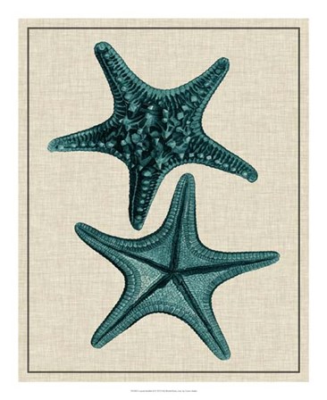 Coastal Starfish II by Vision Studio art print