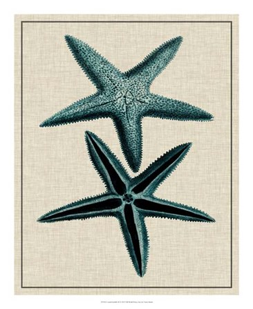 Coastal Starfish III by Vision Studio art print