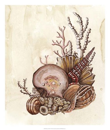 Baroque Nautilus I by Naomi McCavitt art print