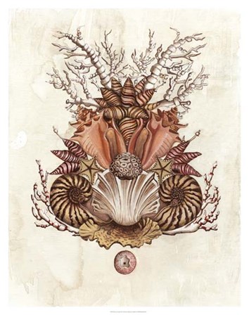 Baroque Nautilus II by Naomi McCavitt art print