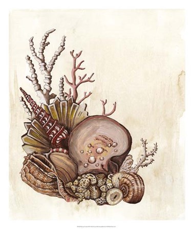 Baroque Nautilus III by Naomi McCavitt art print