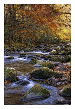 Autumn on Little River by Danny Head art print