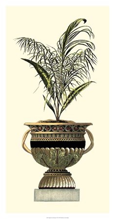 Elegant Urn with Foliage II by Giovanni Giardini art print