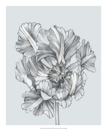 Silvery Blue Tulips I by Jennifer Goldberger art print
