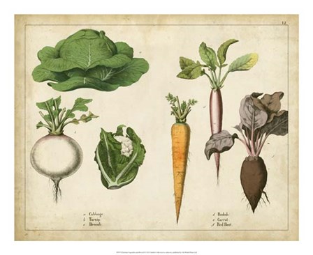 Kitchen Vegetables &amp; Roots I art print