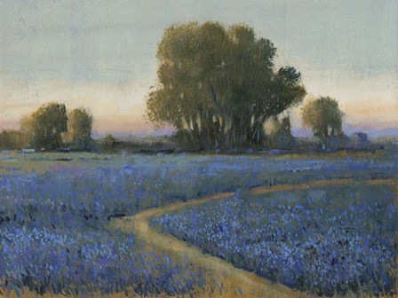 Blue Bonnet Field I by Timothy O&#39;Toole art print