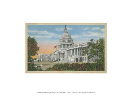 Capitol Building, Washington, D.C. art print